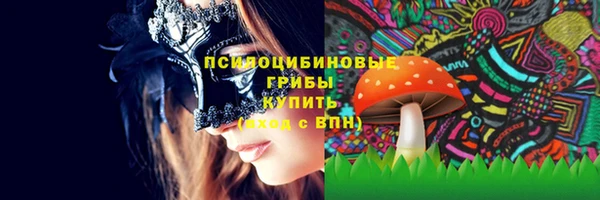 соль курить ск Гусь-Хрустальный