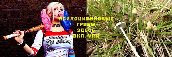 спайс Гусев