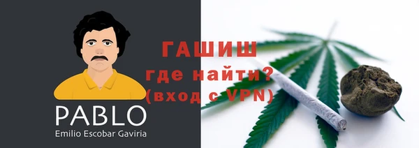 спайс Гусев