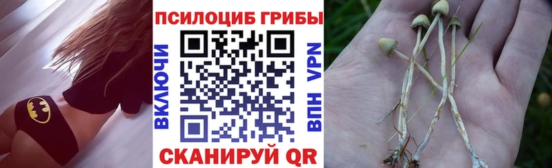 hydra рабочий сайт  Архангельск  Галлюциногенные грибы мицелий  наркота 